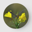 Recherche de fleur jaune horloges Pour tous