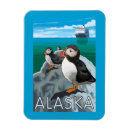 Recherche de macareux magnets De