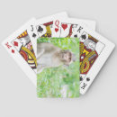 Recherche de singes jeux de cartes Sauvage