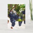 Recherche de raisins verts vœux cartes Vigne