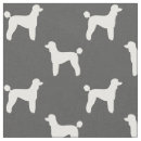 Recherche de caniches standard Animaux familiers