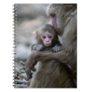 Recherche de singe bébé carnets Animal