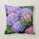 Recherche de floral pourpre rose maison deco Photographie