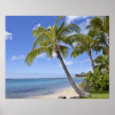 Recherche de scènes plage posters Jour