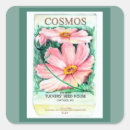 Recherche de cosmos autocollants Aquarelle