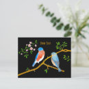 Recherche de merle bleu cartes postales Oiseau