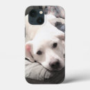 Recherche de récupération iphone coques Drôle
