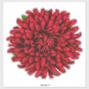 Recherche de dahlia rouge autocollants Botanique