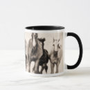 Recherche de courses de cheval tasses Chevaux