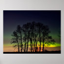 Recherche de boréal posters Nuit