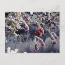 Recherche de se givrer cartes postales Neige