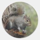 Recherche de photos numériques autocollants Nature