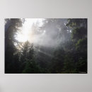 Recherche de les bas posters Le soleil