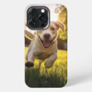 Zoek naar iphone 13 pro hoesjes Hond