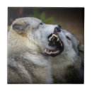 Recherche de combat carreaux Parc national de yellowstone