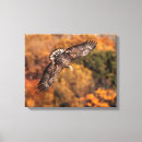 Zoek naar vleugels kunst Kleur