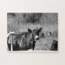 Zoek naar holstein puzzels Vaars