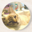 Recherche de chat minou de dessous de verres Mignon