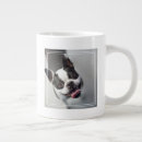 Recherche de image drôle de chien tasses Chiots