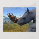 Recherche de kalahari cartes postales Afrique