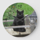 Zoek naar black cat klokken Dieren