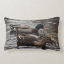 Recherche de volaille coussins Oiseau