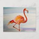 Recherche de flamant exotique cartes postales Oiseau