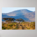 Recherche de antilopes posters Aepyceros melampus