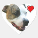 Recherche de terrier de pitbull américain autocollants Dog