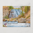 Recherche de gibbon cartes postales Parc national de yellowstone