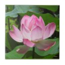 Recherche de lotus carreaux Nature