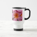 Recherche de fleur de leu Frangipani