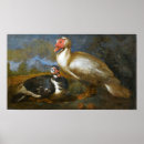 Recherche de deux oiseaux art Animal