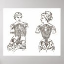 Recherche de bustier posters Femmes