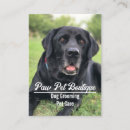 Recherche de marcheur chien cartes visite Service de garde d'animaux