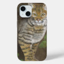 Recherche de lynx iphone coques Sauvage
