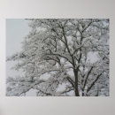 Recherche de neige couverte posters Arbre
