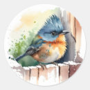 Zoek naar oranje vogel stickers Waterverf