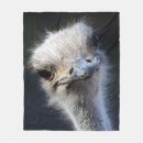 Recherche de autruche humour Faune