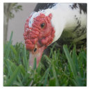 Recherche de rouge et blanc carreaux Pour eux