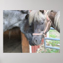 Recherche de poneys posters Toute personne