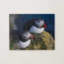 Zoek naar papegaaiduiker puzzels Atlantische
