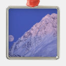 Recherche de pleine lune ornements Neige