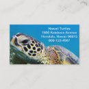 Recherche de tortue verte cartes visite Tropical