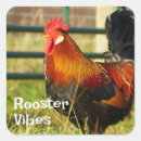 Recherche de farmie autocollants Coq