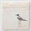 Recherche de mouette dessous de verres Plage
