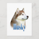 Recherche de husky cartes postales Amoureux des chiens