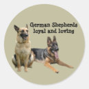 Recherche de chien policier autocollants Gsd