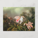 Recherche de 1872 cartes postales Ornithologie