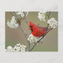 Recherche de environnement cartes postales La nature